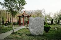 中国地质大学长城学院二本最低投档分461