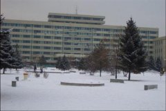 东北农业大学有哪些二本文科专业？