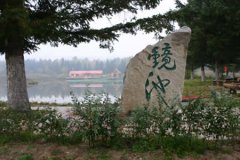 东北林业大学有哪些二本理科专业？