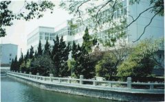 填报问题:上海科技职业学院是公办还是民办专科？