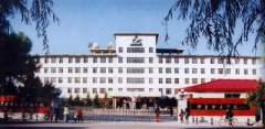 填报问题:伊春职业学院是公办还是民办专科？