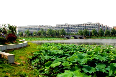 6所城乡规划专业较好的武汉大学