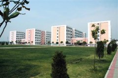 宿州学院有哪些二本理科专业？