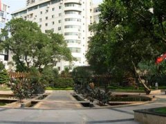 填报问题:重庆城市职业学院是公办还是民办专科？