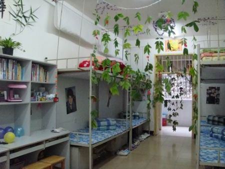 柳州职业技术学院宿舍图片_寝室图片7