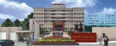 填报问题:铜陵职业学院是公办还是民办专科？