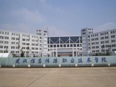 志愿填报:武汉信息传播职业学院是公办还是民办专科？