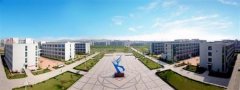 填报问题:山东凯文科技职业学院是公办还是民办高职？