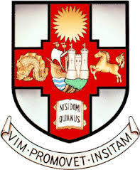 布里斯托大学logo