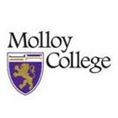 莫洛伊学院是教育部认证吗？在哪个州？