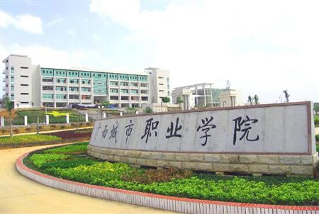 广西城市职业学院一分一段位次排名表(各省)