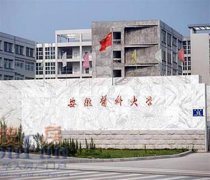 2017哪些安徽医科本科大学好？